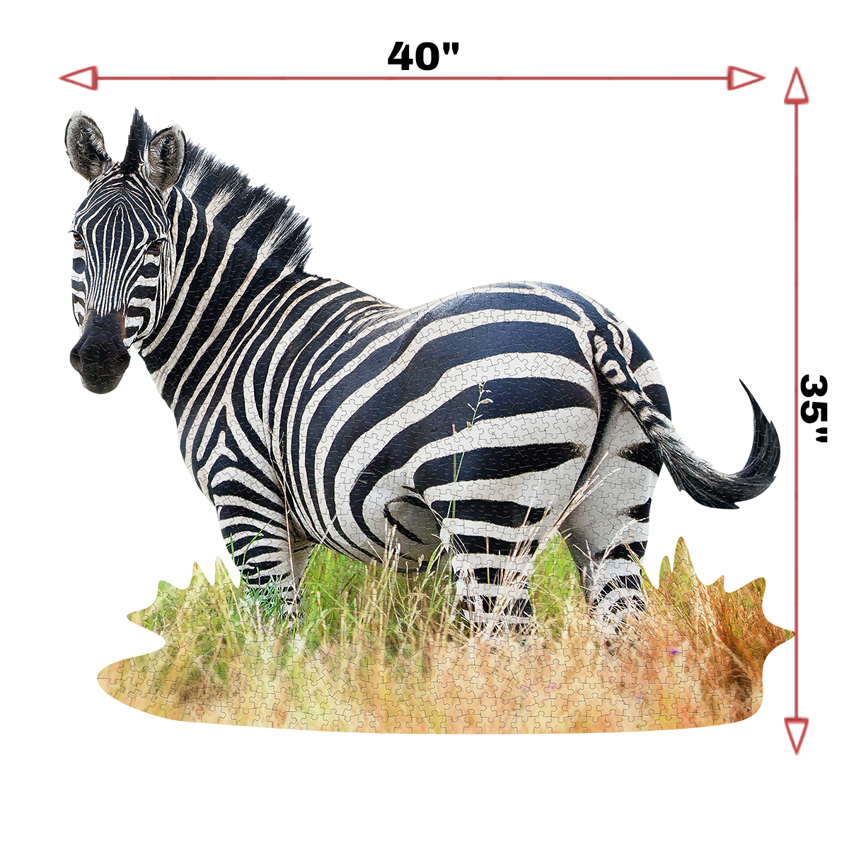 I Am Zebra 1000 Piece Puzzle